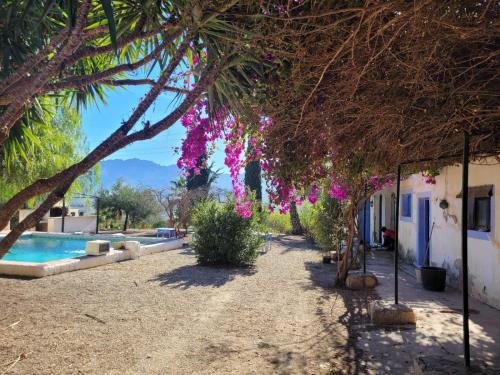 Cortijo Las Gallardas en Almería - last minute hotel in Unknown City