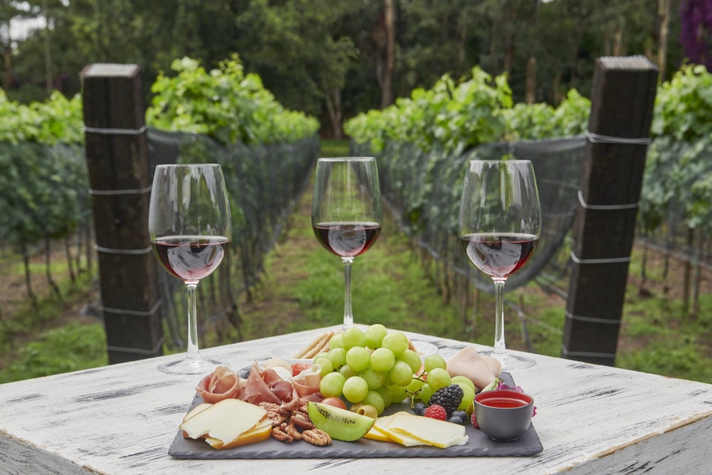 Vineyard