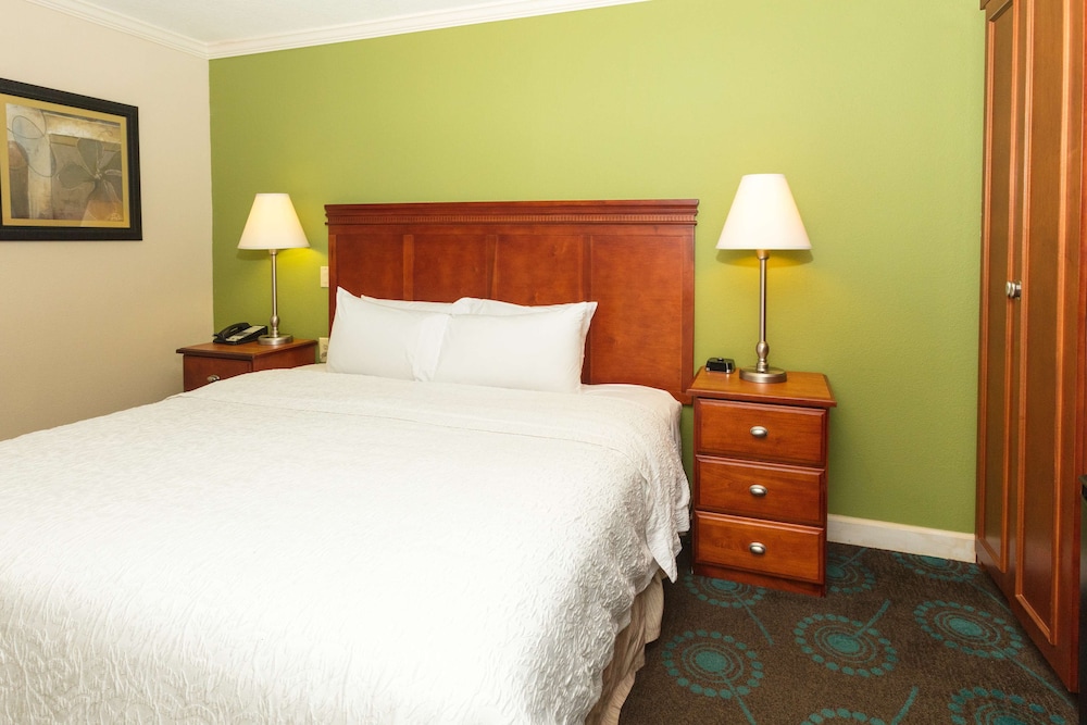 Hampton Inn Daytona Speedway - photo 23