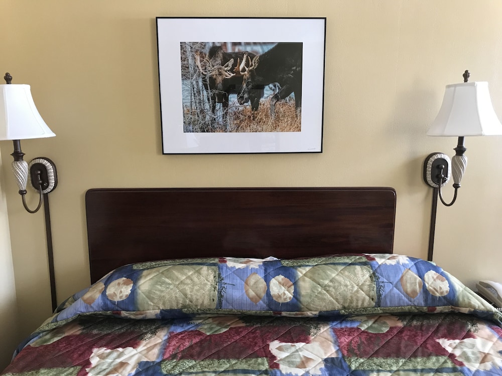 Baxter Park Inn - photo 7