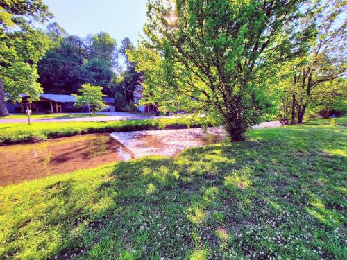 Mountain Stream by RedAwning - photo 21