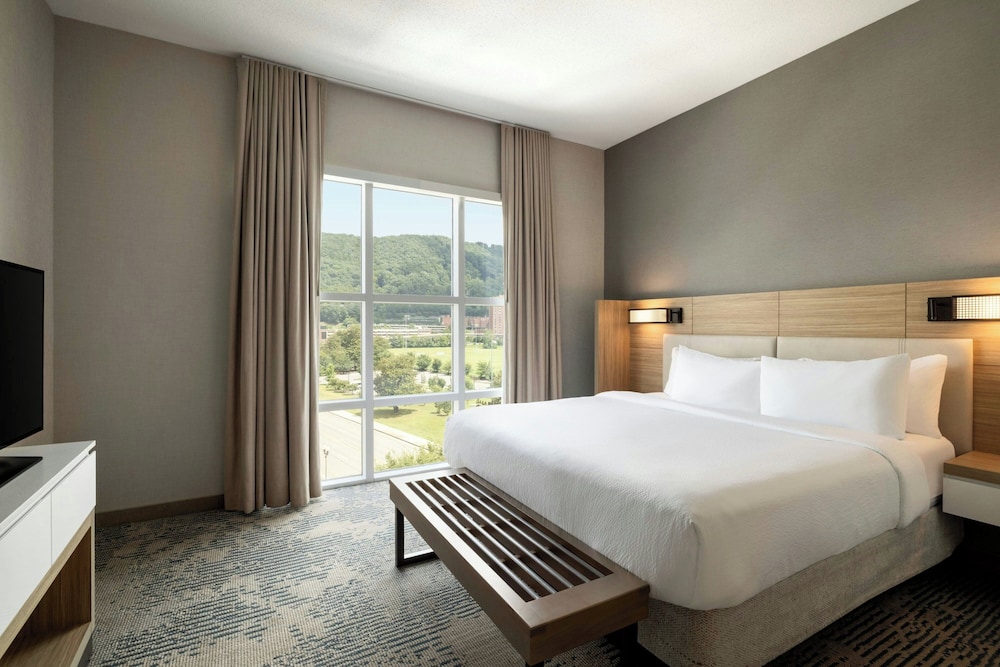 SpringHill Suites by Marriott Roanoke - photo 8