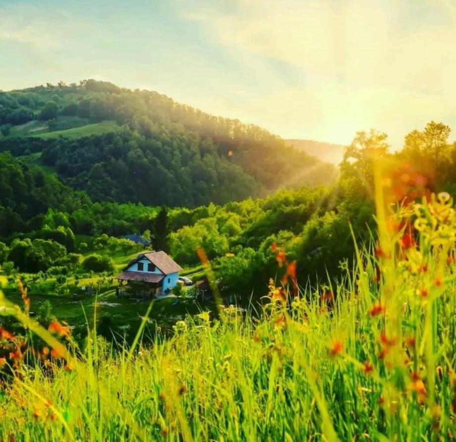 Cuibul cu Trufe - carbon neutral hotel in Feldru