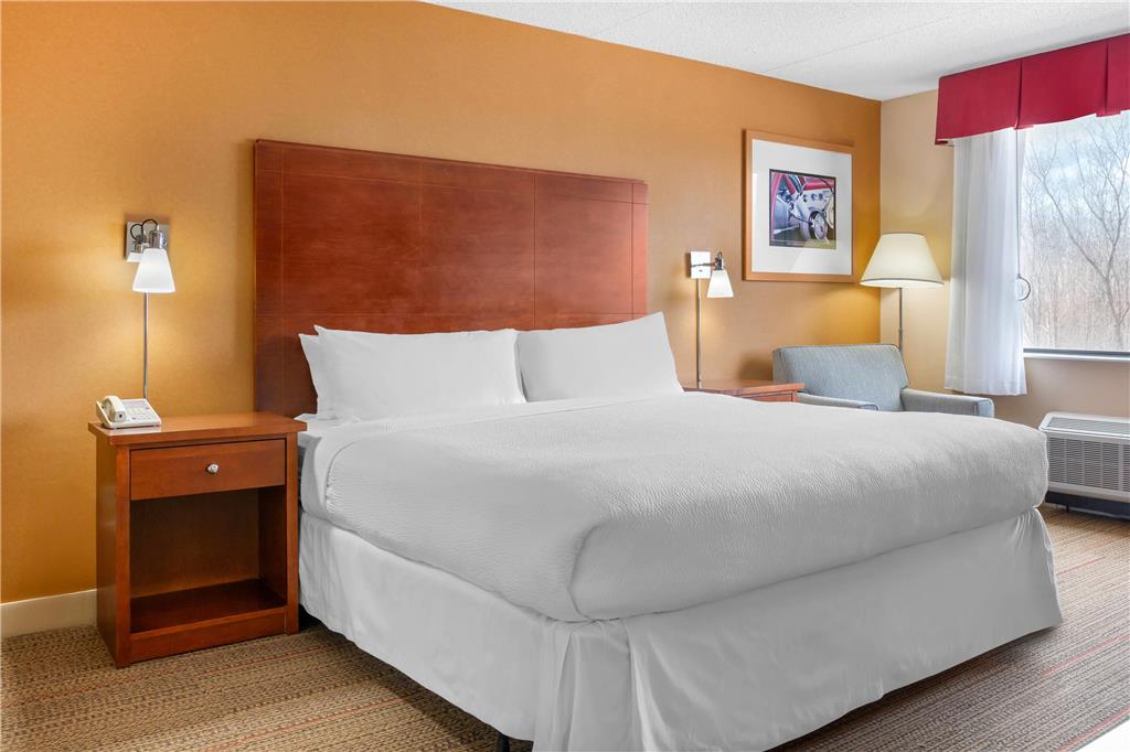 Radisson Hotel Detroit Metro Airport - photo 40