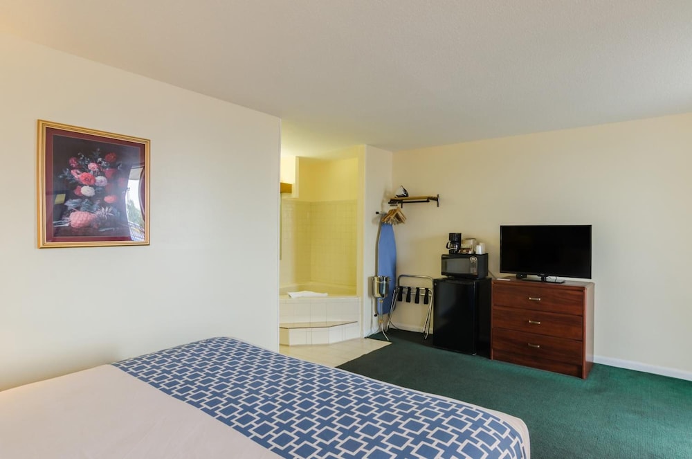 Alamo Inn & Suites - photo 19