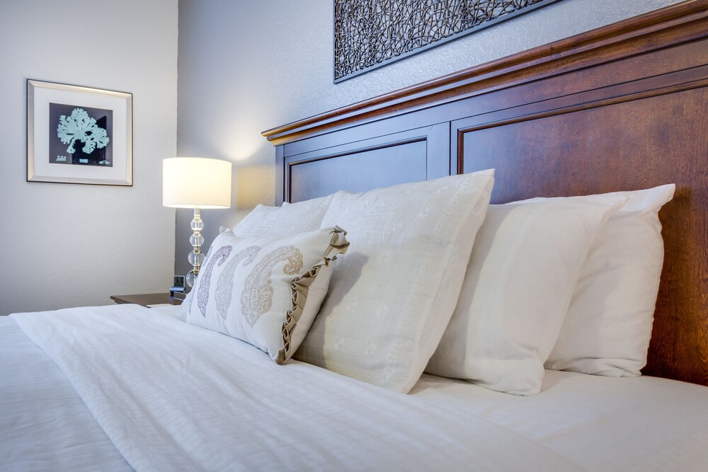 Orlando Luxury Escapes - photo 176