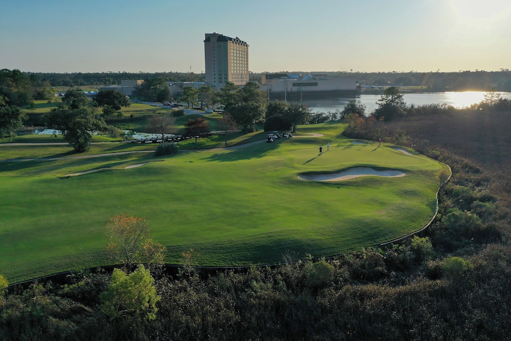 Hollywood Casino Gulf Coast - photo 30