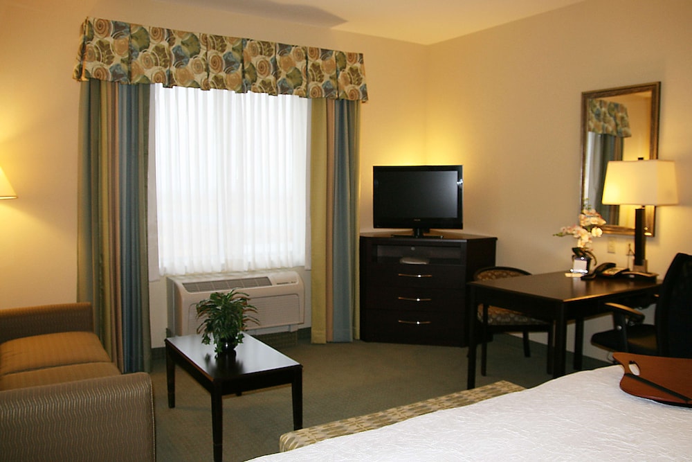 Hampton Inn Alpine - photo 6