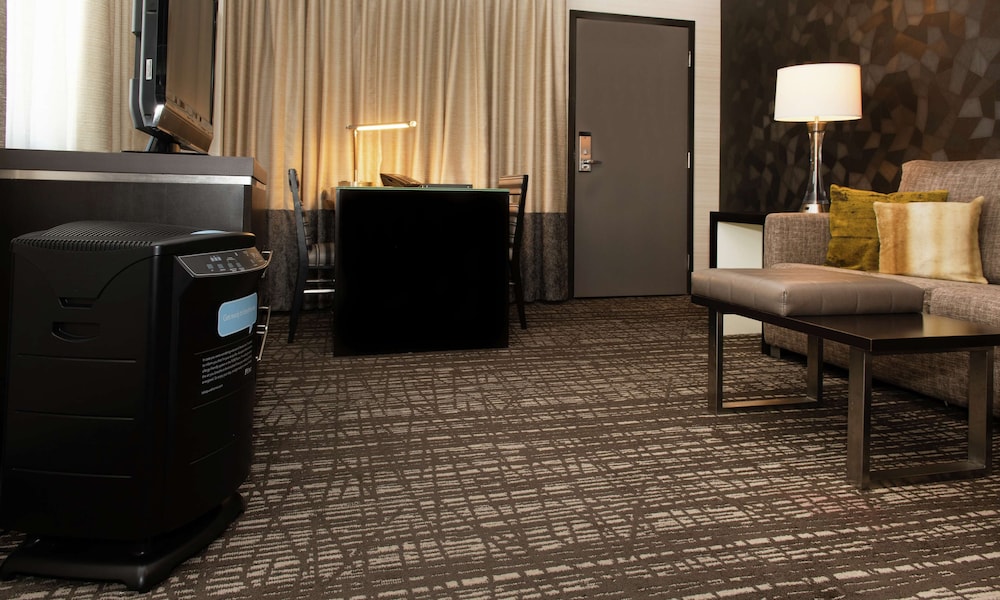 Embassy Suites by Hilton Las Vegas - photo 25
