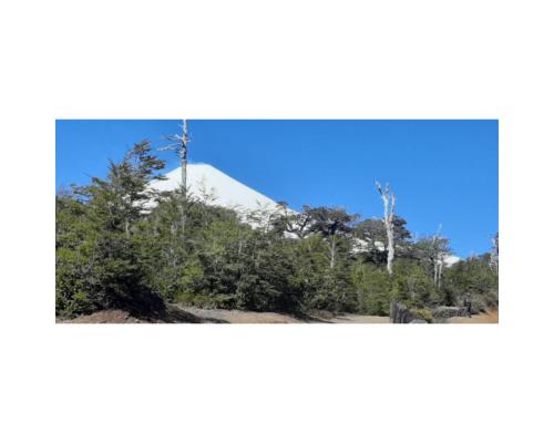 Entre Pinos Y Luceros Acogedora Cabaña Rústica — Villarrica — photo 4