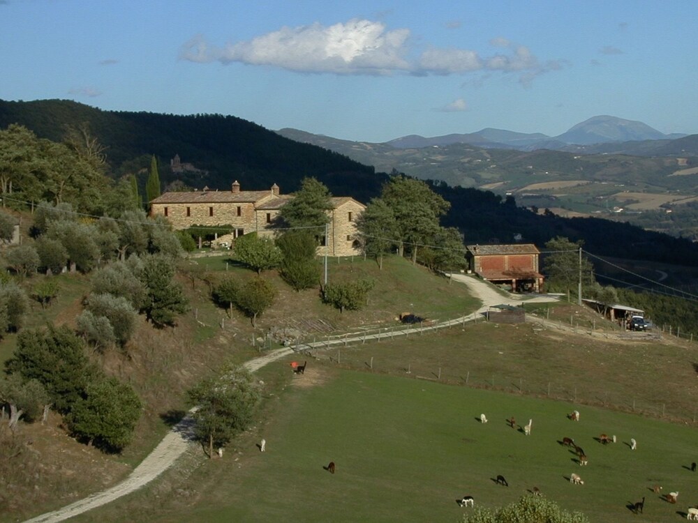 Maridiana Alpaca Country House — 4-Star Luxury Hotel in Umbertide, Italy