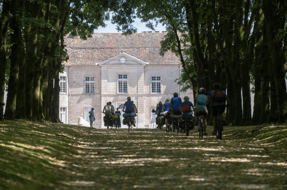 Le Tilleul de Ray in Dijon, France