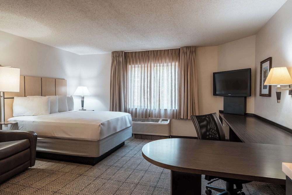 Sonesta Simply Suites Dallas Richardson - photo 3
