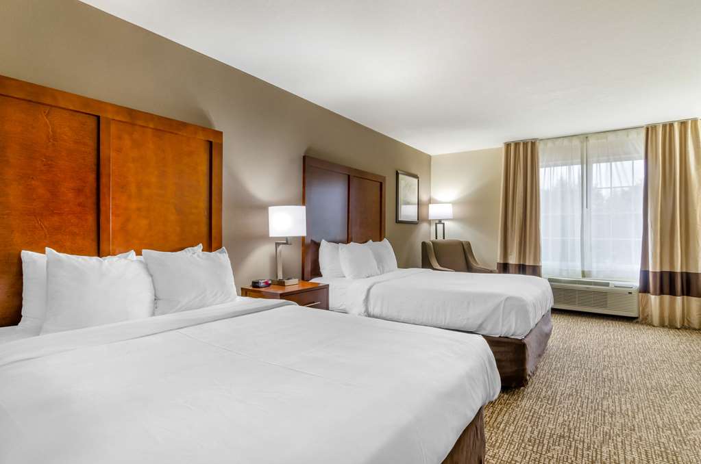Comfort Inn & Suites near Bethel College - photo 10