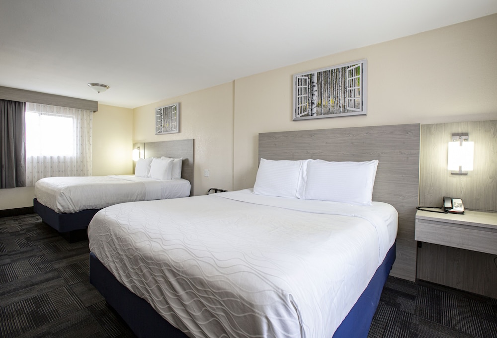 Hotel Aspen InnSuites Flagstaff Grand Canyon - photo 27
