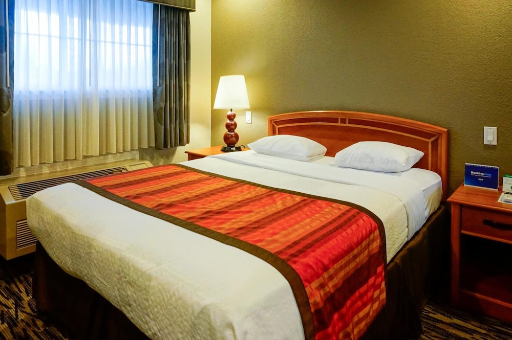 Hotel Parmani - photo 23