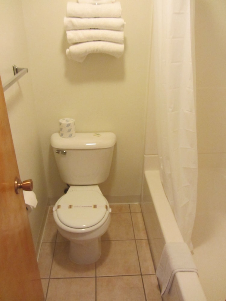 Green Dolphin Motel - photo 45
