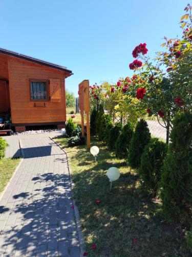 Domki letniskowe Wikar in Darlowo, Poland