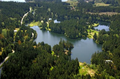 Lakedale Resort - photo 51