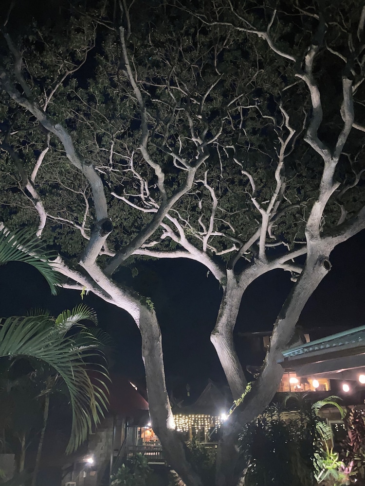 Hale Maluhia Country Inn - photo 3