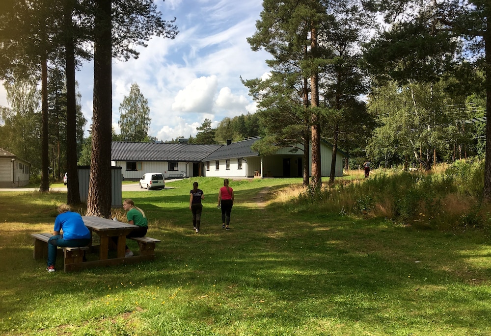 Torpomoen in Al, Norway
