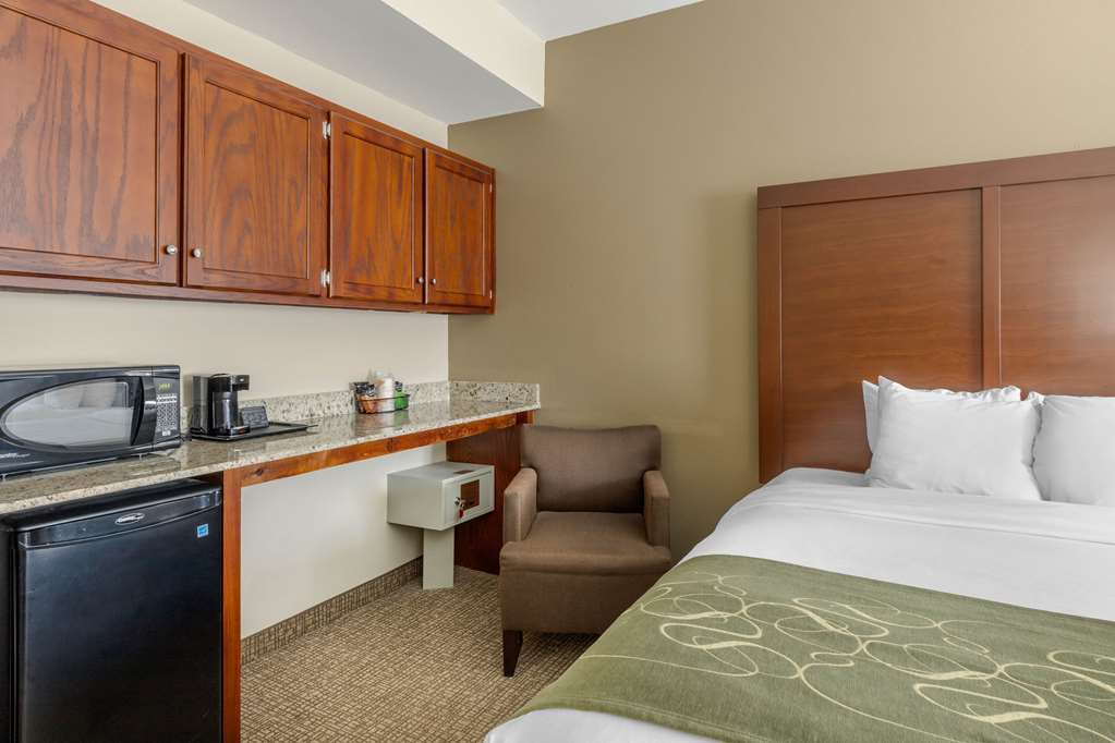 Comfort Suites Johnson City near University - photo 12