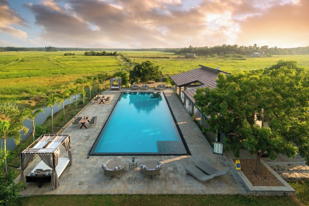 Wild Culture Yala in Unknown City, Sri Lanka