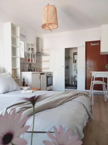 The Studio - carbon neutral hotel in Aljezur