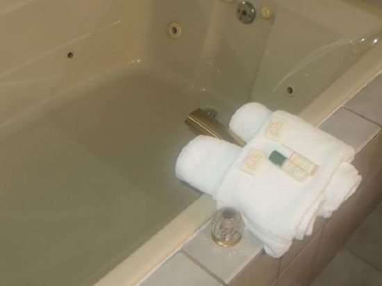 Loyalty Inn Wisconsin Dells - photo 6