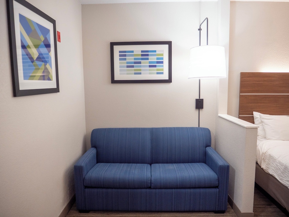 Holiday Inn Express & Suites Greenville Airport by IHG - photo 26