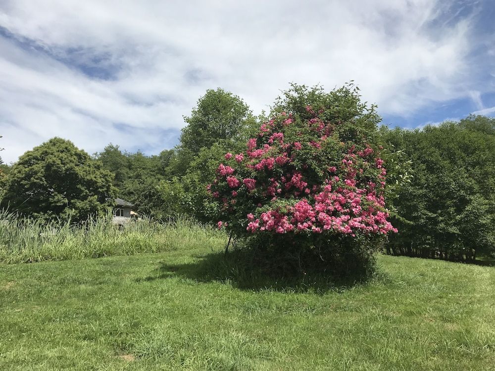 Lucky Mud Inn and Disc Golf Resort - photo 12