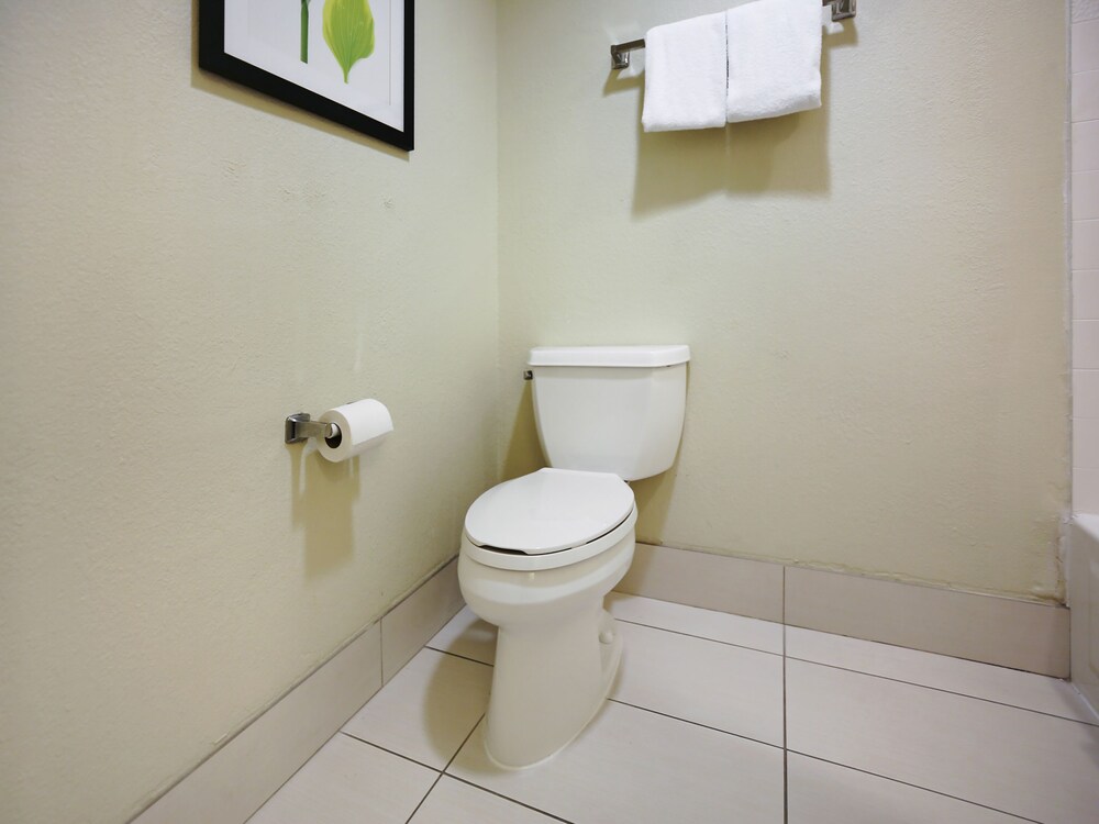 Quality Inn & Suites Jackson - photo 20