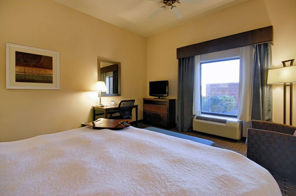 Hampton Inn & Suites New Iberia Avery Island - photo 19