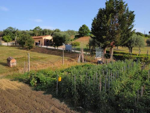 La Piaggiola degli Olivi — Panicale — photo 2