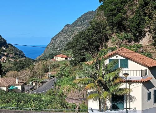 Palm Comfort in Sao Vicente, Portugal