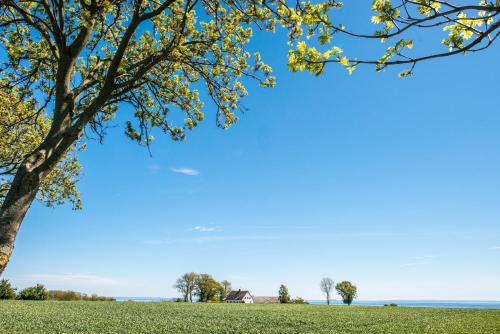 MårtenPers Bo in Simrishamn, Sweden