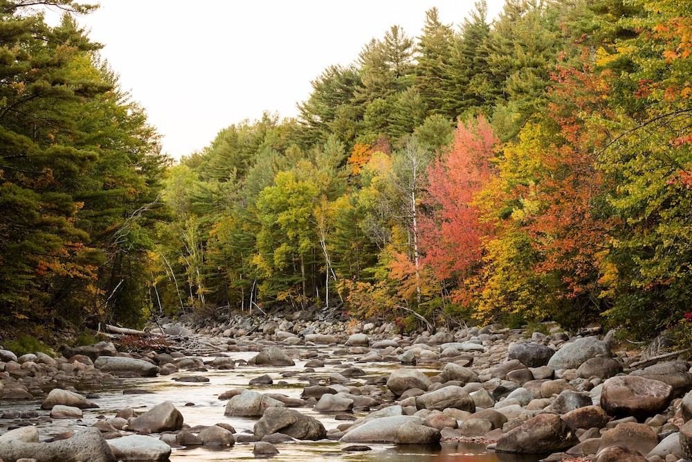 Adk Trail Inn - photo 42