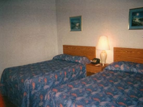 Knights Inn Baltimore South Jessup - photo 2