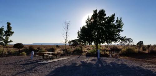 Blue Mountain RV Park - photo 13