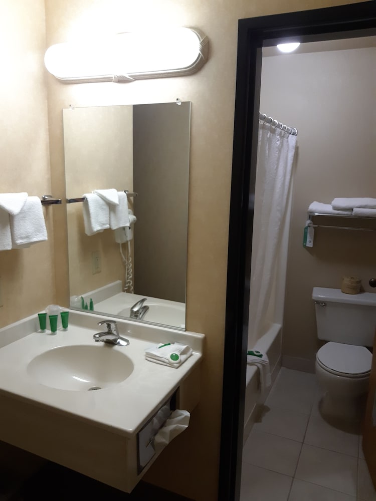 Lavissh Inn & Suites - photo 17