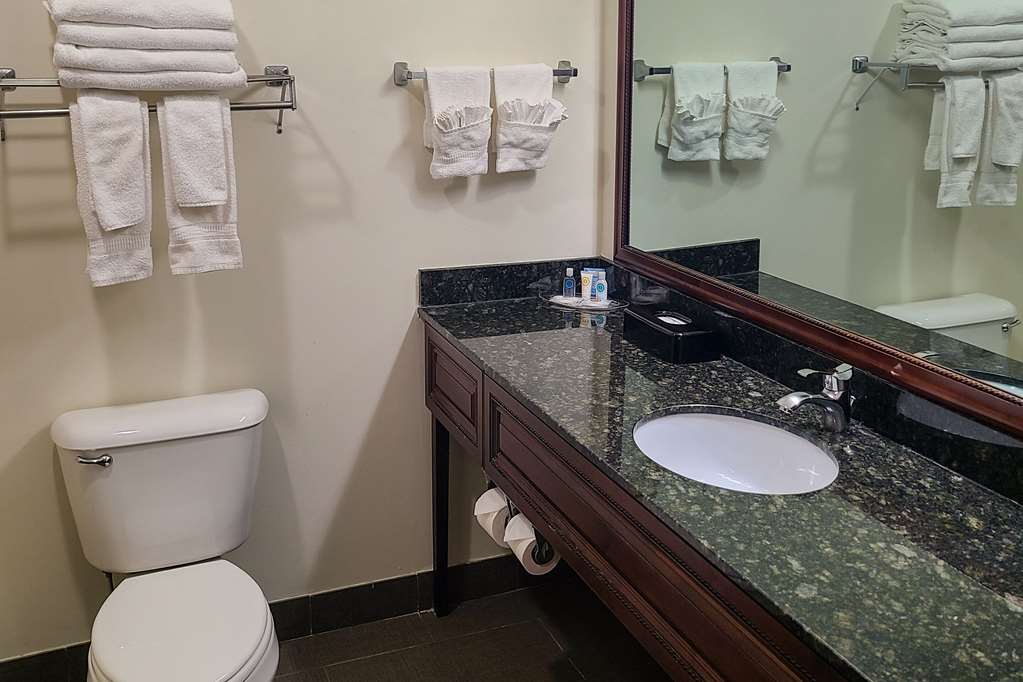 Comfort Suites Madison West Middleton - photo 29