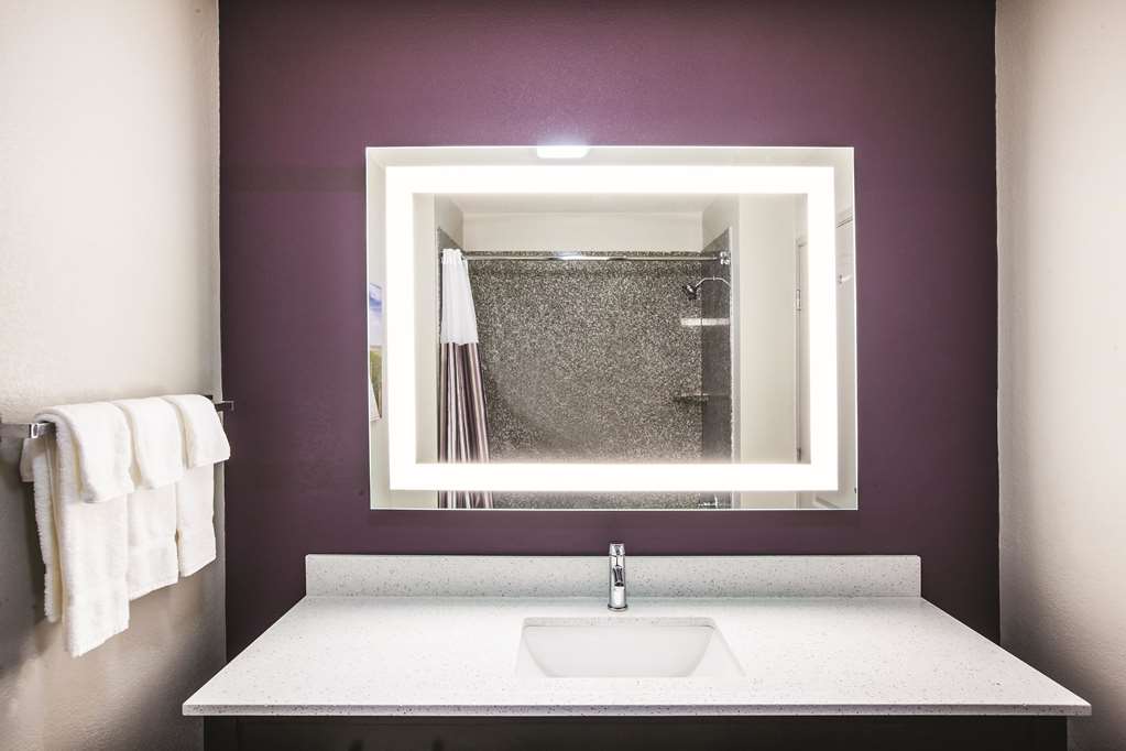 La Quinta Inn & Suites by Wyndham Walker Denham Springs - photo 20