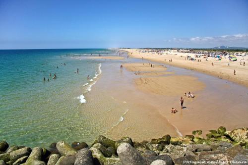 Tavira Palm Tree by Homing — 4-Star Luxury Hotel in Tavira, Portugal