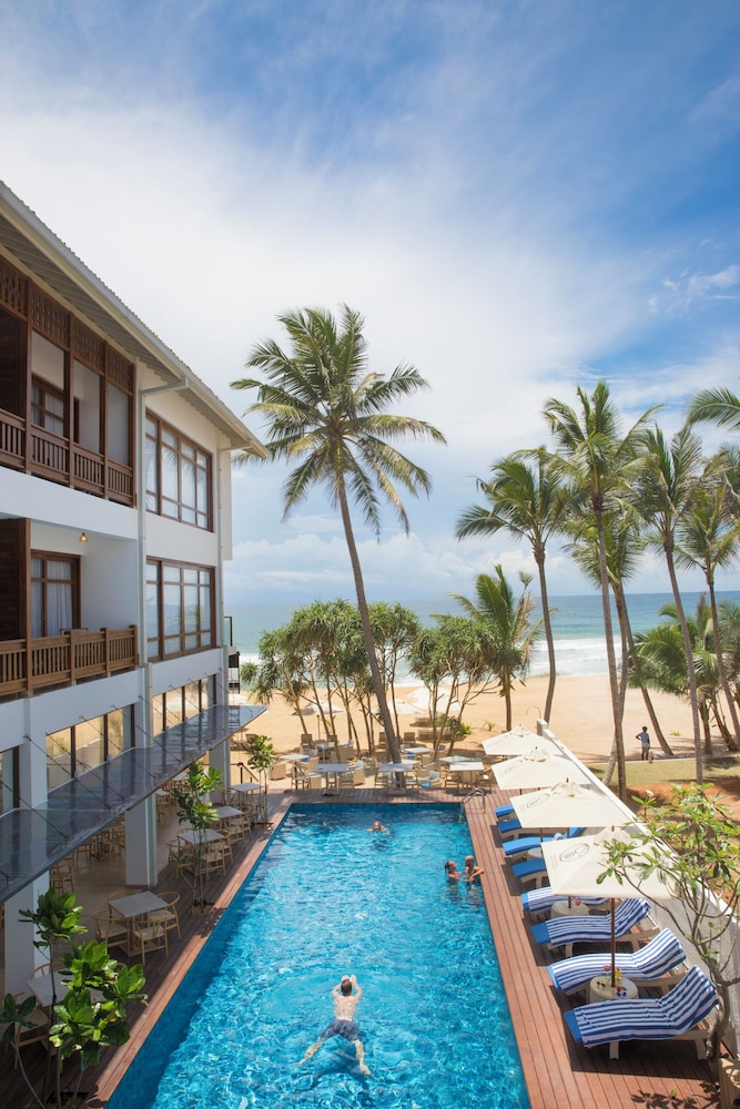 Lucky Elephant in Hikkaduwa, Sri Lanka