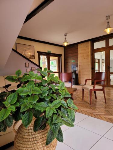 Natura Park w Stegnie in Stegna, Poland