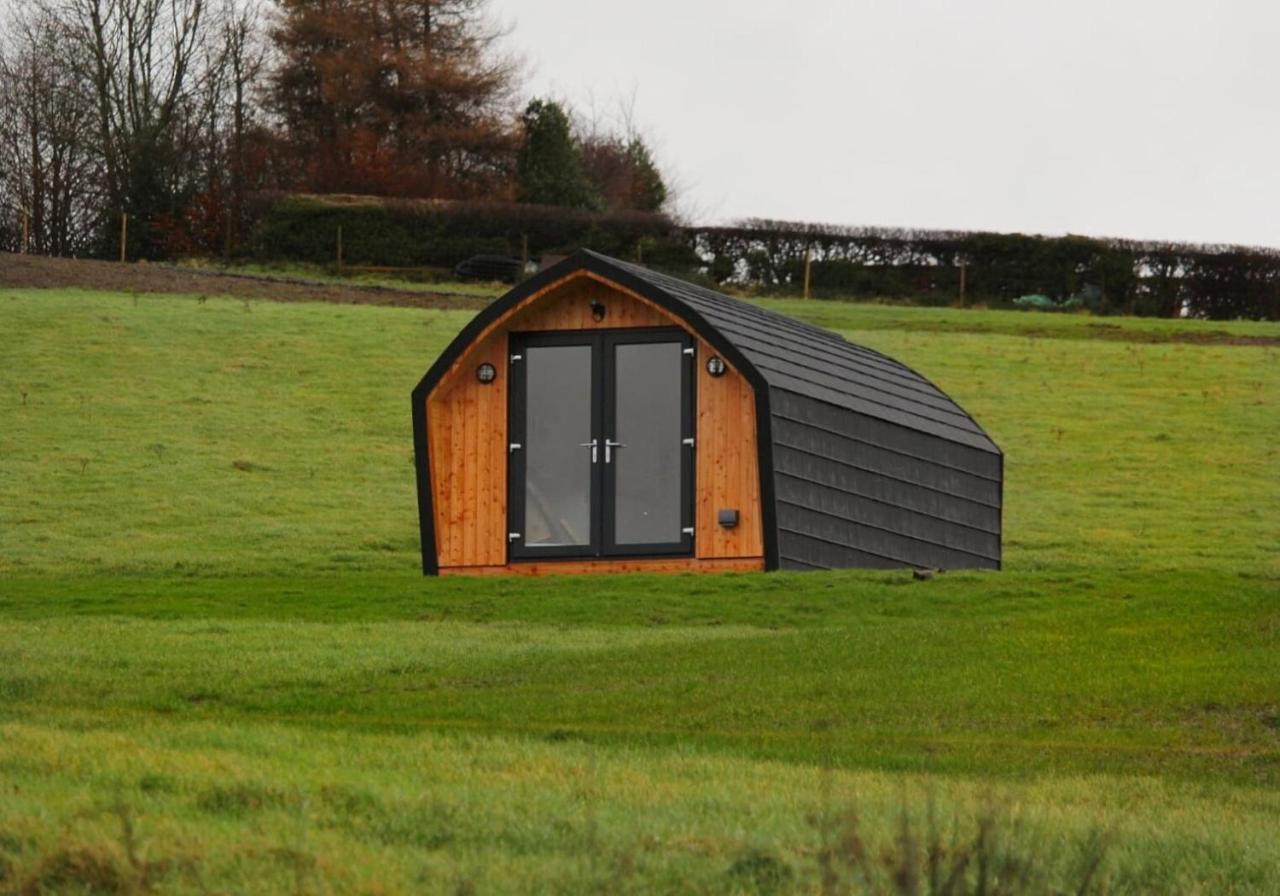 Badger S Sett — Bathgate