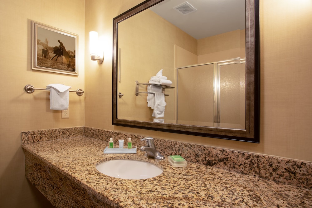 Holiday Inn Laramie by IHG - photo 15