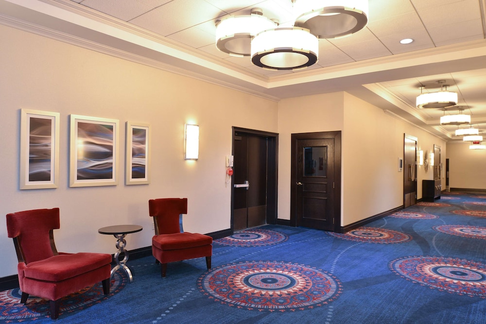 Hotel Belvoir Springfield - photo 35