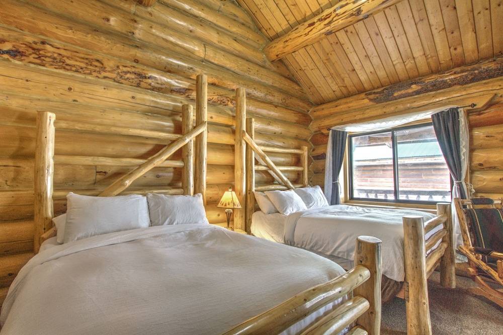 The Hibernation Station - photo 3