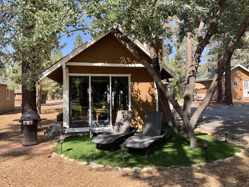 Grey Squirrel Resort - photo 22
